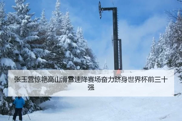 张玉营惊艳高山滑雪速降赛场奋力跻身世界杯前三十强（Baowei Sports）
